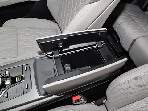 BYD Tang DM-p Glory Edition / War God Edition: Unmatched Performance and Luxury in a Plug-in Hybrid SUV