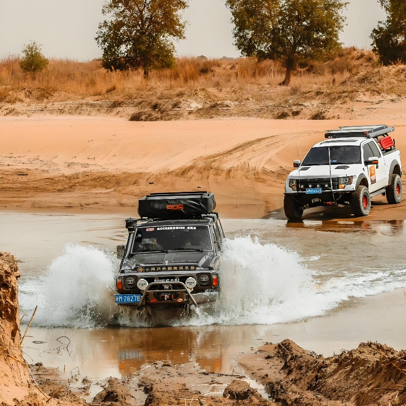jaisalmer viral video car